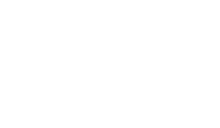 visa logo